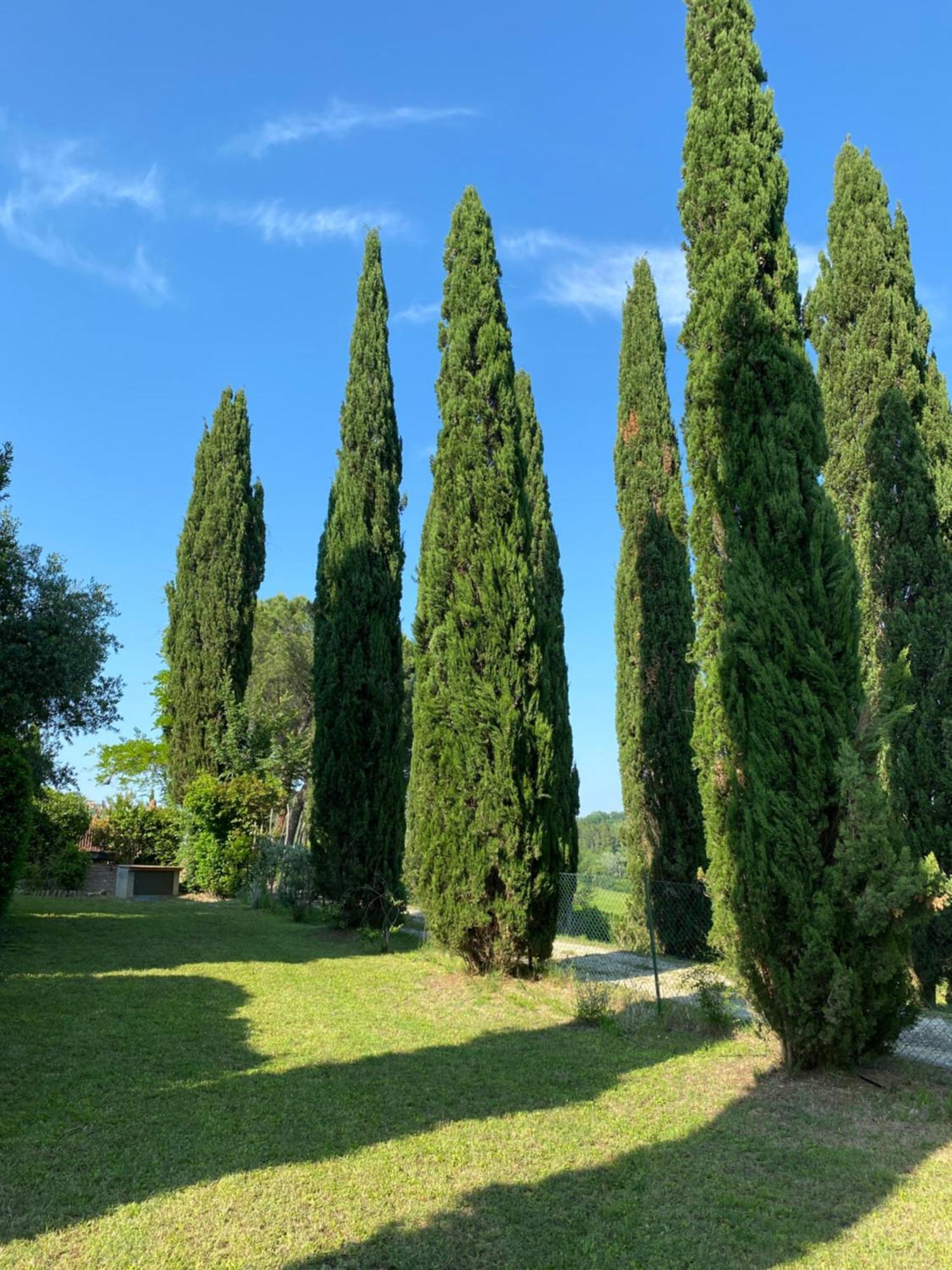 Villa Tre Colli - In The Heart Of Tuscany Certaldo Ngoại thất bức ảnh